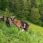 Kmetija Pecnik Апартаменты Prevalje