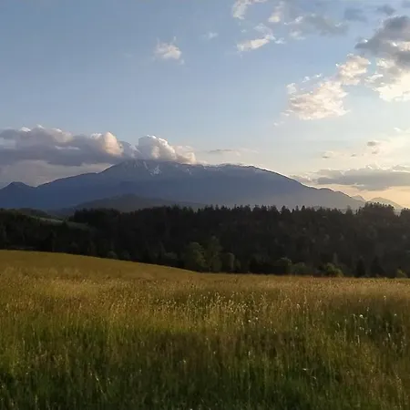 Appartement Kmetija Pecnik