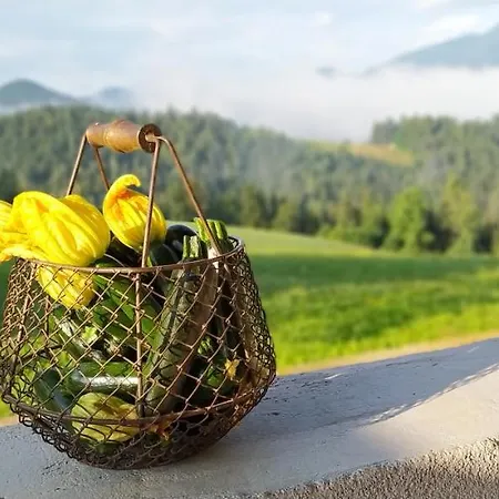 Kmetija Pecnik Prevalje