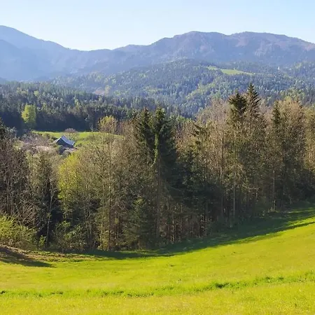 Kmetija Pecnik Apartament *