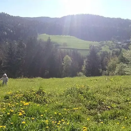 Kmetija Pecnik דירה