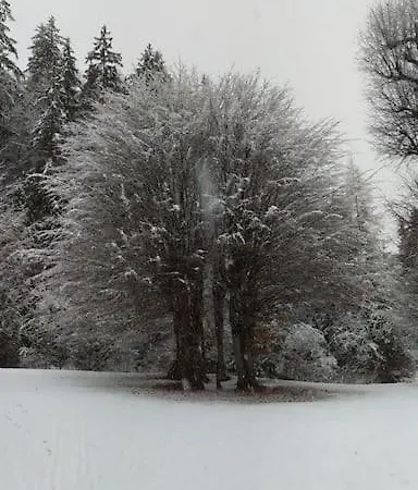 Appartement Kmetija Pecnik Prevalje