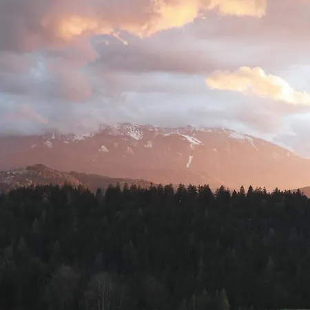 דירה Kmetija Pecnik *