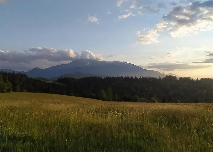 Apartman Kmetija Pecnik