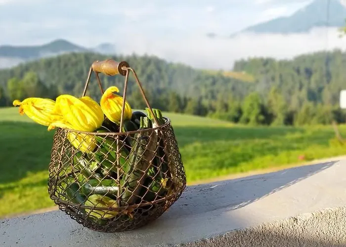 Kmetija Pecnik Prevalje