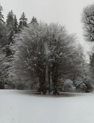 Apartman Kmetija Pecnik Prevalje