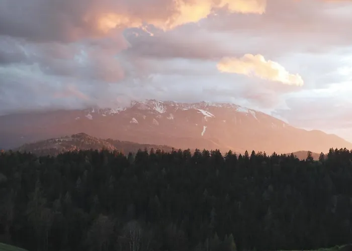 Apartman Kmetija Pecnik *